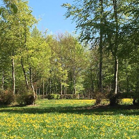 Ferienwohnung Ravelblick Roetgen Eksteriør billede